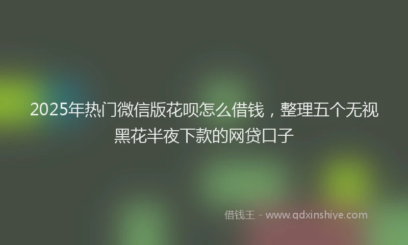 2025年热门微信版花呗怎么借钱，整理五个无视黑花半夜下款的网贷口子