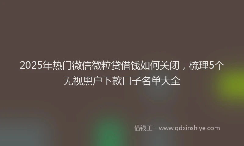 2025年热门微信微粒贷借钱如何关闭，梳理5个无视黑户下款口子名单大全