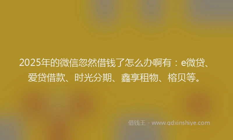 2025年的微信忽然借钱了怎么办啊有：e微贷、爱贷借款、时光分期、鑫享租物、榕贝等。