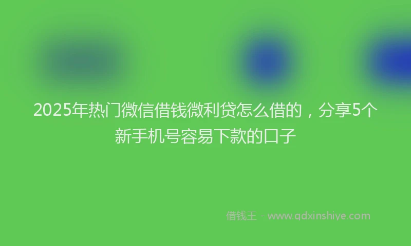 2025年热门微信借钱微利贷怎么借的，分享5个新手机号容易下款的口子