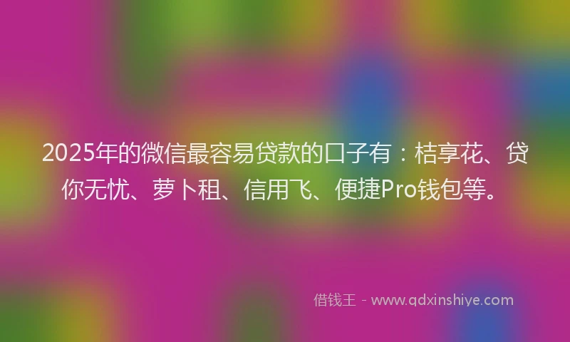 2025年的微信最容易贷款的口子有：桔享花、贷你无忧、萝卜租、信用飞、便捷Pro钱包等。