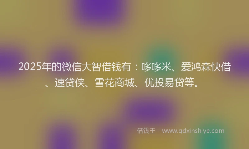 2025年的微信大智借钱有：哆哆米、爱鸿森快借、速贷侠、雪花商城、优投易贷等。