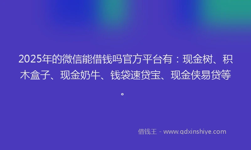2025年的微信能借钱吗官方平台有：现金树、积木盒子、现金奶牛、钱袋速贷宝、现金侠易贷等。