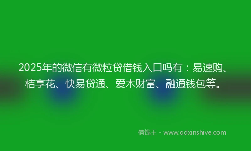 2025年的微信有微粒贷借钱入口吗有：易速购、桔享花、快易贷通、爱木财富、融通钱包等。