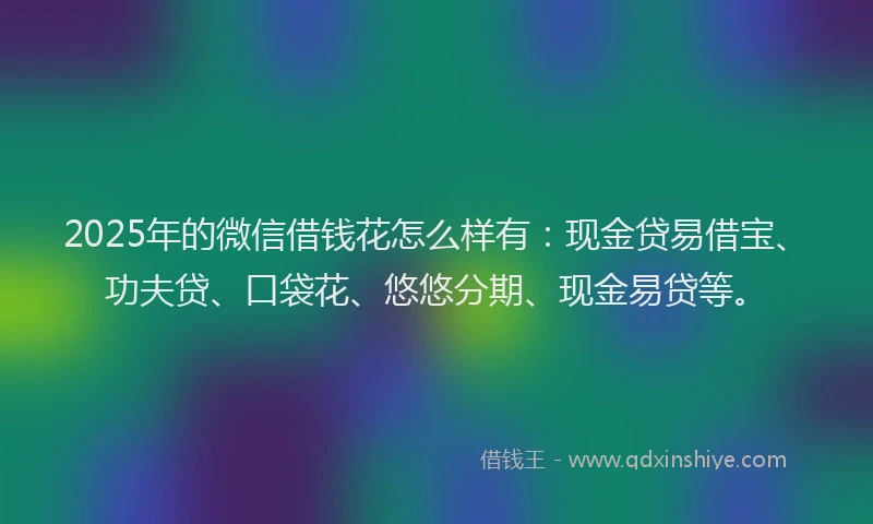 2025年的微信借钱花怎么样有：现金贷易借宝、功夫贷、口袋花、悠悠分期、现金易贷等。