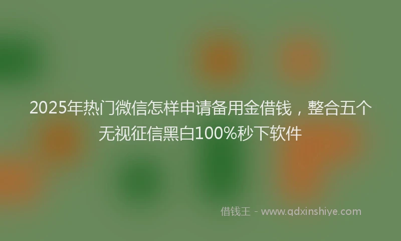 2025年热门微信怎样申请备用金借钱，整合五个无视征信黑白100%秒下软件