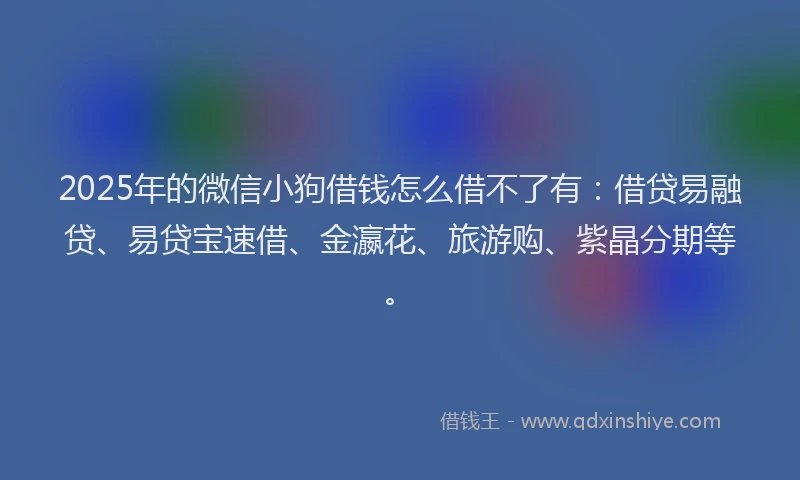 2025年的微信小狗借钱怎么借不了有：借贷易融贷、易贷宝速借、金瀛花、旅游购、紫晶分期等。