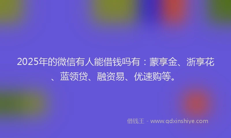 2025年的微信有人能借钱吗有：蒙享金、浙享花、蓝领贷、融资易、优速购等。