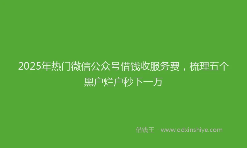 2025年热门微信公众号借钱收服务费，梳理五个黑户烂户秒下一万