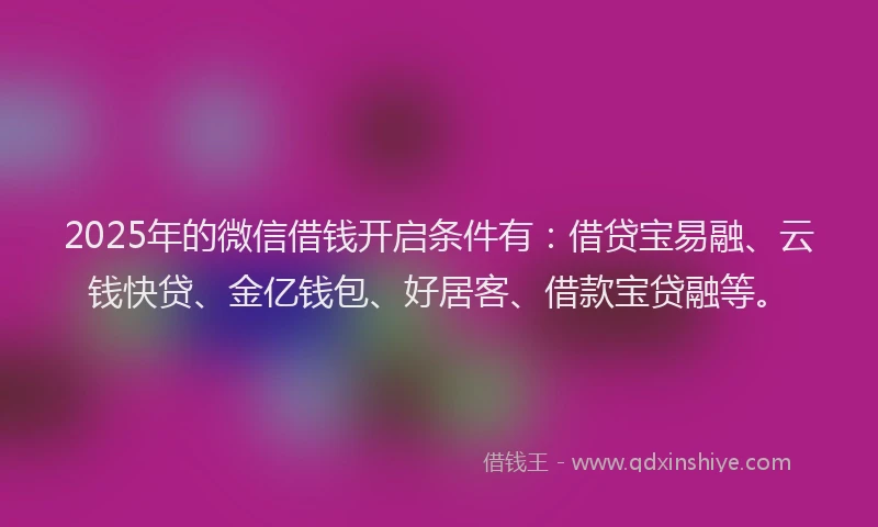 2025年的微信借钱开启条件有：借贷宝易融、云钱快贷、金亿钱包、好居客、借款宝贷融等。