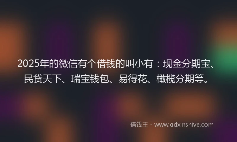 2025年的微信有个借钱的叫小有：现金分期宝、民贷天下、瑞宝钱包、易得花、橄榄分期等。