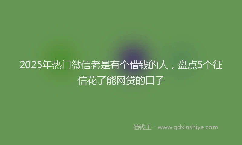 2025年热门微信老是有个借钱的人，盘点5个征信花了能网贷的口子