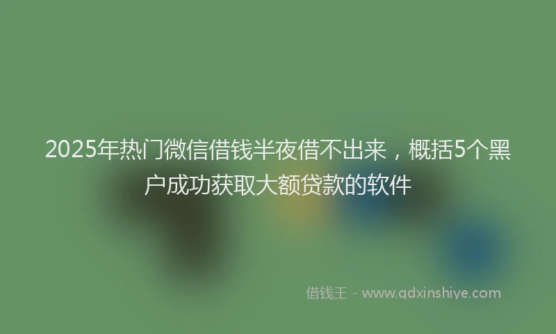 2025年热门微信借钱半夜借不出来，概括5个黑户成功获取大额贷款的软件
