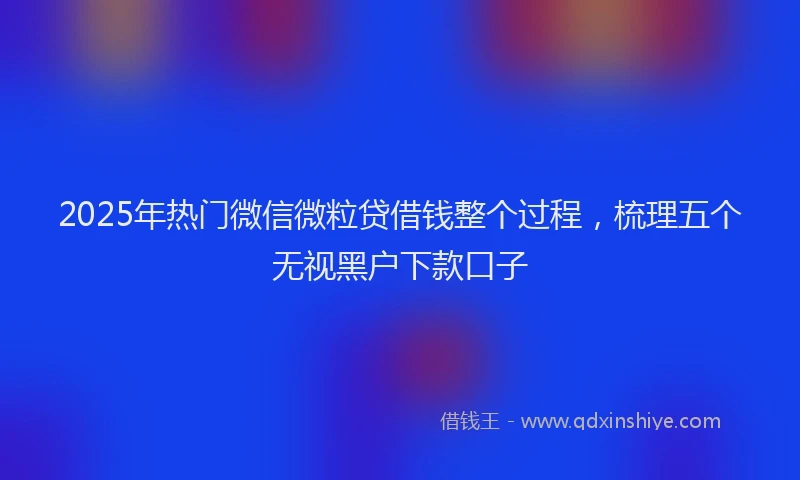 2025年热门微信微粒贷借钱整个过程，梳理五个无视黑户下款口子