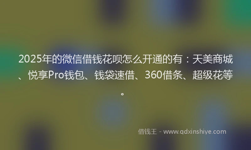 2025年的微信借钱花呗怎么开通的有：天美商城、悦享Pro钱包、钱袋速借、360借条、超级花等。