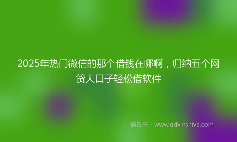 2025年热门微信的那个借钱在哪啊，归纳五个网贷大口子轻松借软件