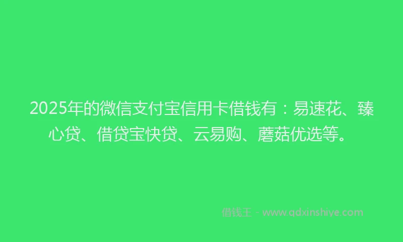 2025年的微信支付宝信用卡借钱有：易速花、臻心贷、借贷宝快贷、云易购、蘑菇优选等。