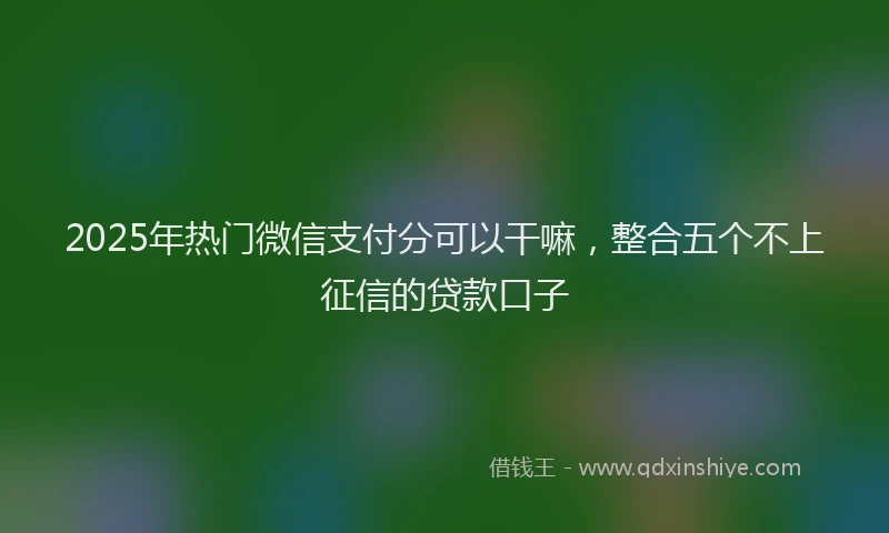 2025年热门微信支付分可以干嘛，整合五个不上征信的贷款口子