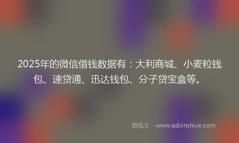 2025年的微信借钱数据有：大利商城、小麦粒钱包、速贷通、迅达钱包、分子贷宝盒等。
