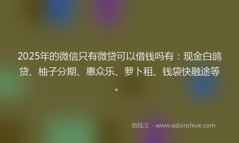 2025年的微信只有微贷可以借钱吗有：现金白鸽贷、柚子分期、惠众乐、萝卜租、钱袋快融途等。