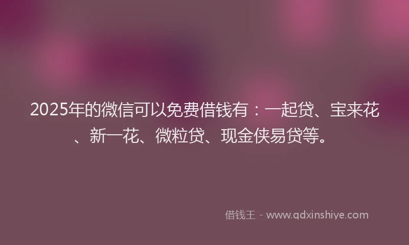 2025年的微信可以免费借钱有：一起贷、宝来花、新一花、微粒贷、现金侠易贷等。