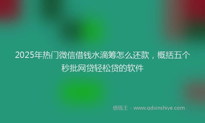 2025年热门微信借钱水滴筹怎么还款，概括五个秒批网贷轻松贷的软件
