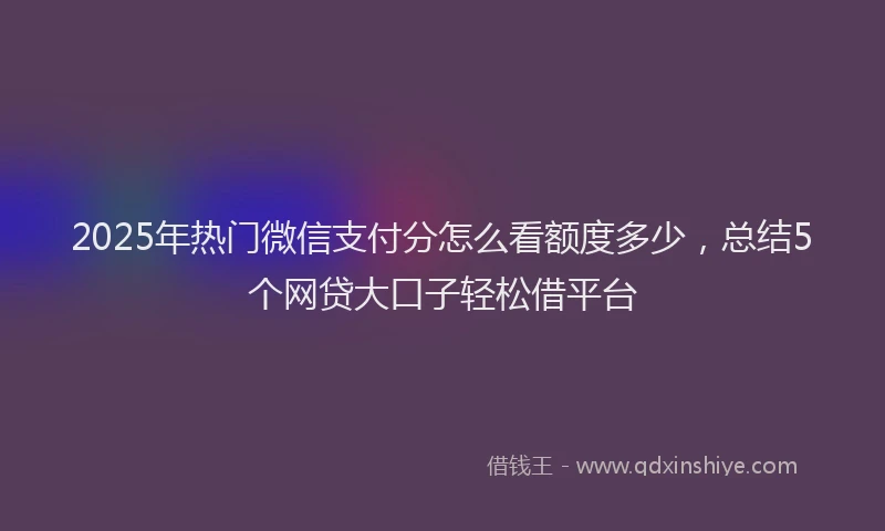 2025年热门微信支付分怎么看额度多少，总结5个网贷大口子轻松借平台