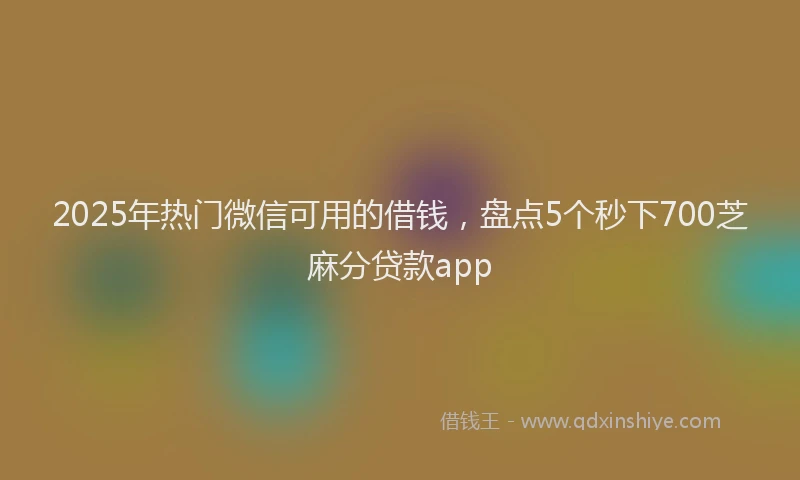 2025年热门微信可用的借钱，盘点5个秒下700芝麻分贷款app