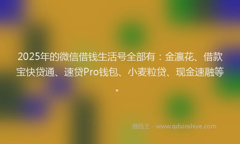 2025年的微信借钱生活号全部有：金瀛花、借款宝快贷通、速贷Pro钱包、小麦粒贷、现金速融等。