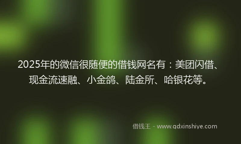 2025年的微信很随便的借钱网名有：美团闪借、现金流速融、小金鸽、陆金所、哈银花等。