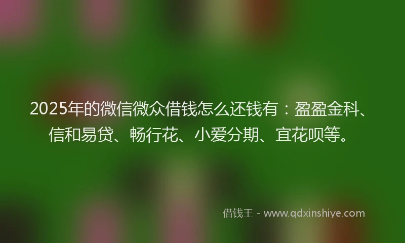 2025年的微信微众借钱怎么还钱有：盈盈金科、信和易贷、畅行花、小爱分期、宜花呗等。