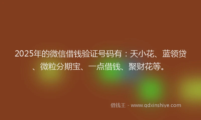 2025年的微信借钱验证号码有：天小花、蓝领贷、微粒分期宝、一点借钱、聚财花等。