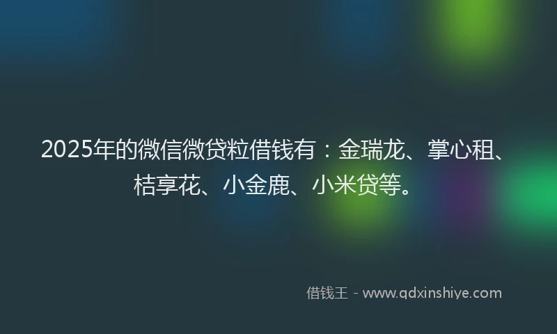 2025年的微信微贷粒借钱有：金瑞龙、掌心租、桔享花、小金鹿、小米贷等。