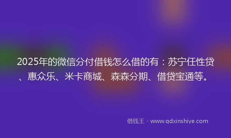2025年的微信分付借钱怎么借的有：苏宁任性贷、惠众乐、米卡商城、森森分期、借贷宝通等。