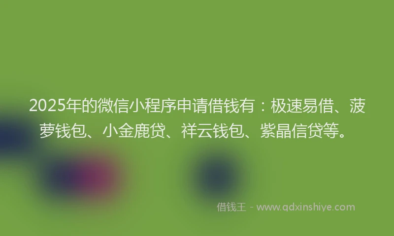 2025年的微信小程序申请借钱有：极速易借、菠萝钱包、小金鹿贷、祥云钱包、紫晶信贷等。