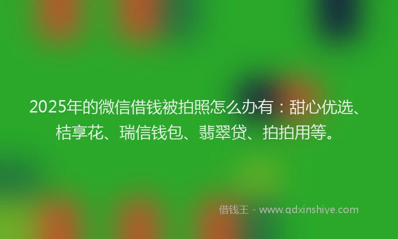2025年的微信借钱被拍照怎么办有：甜心优选、桔享花、瑞信钱包、翡翠贷、拍拍用等。