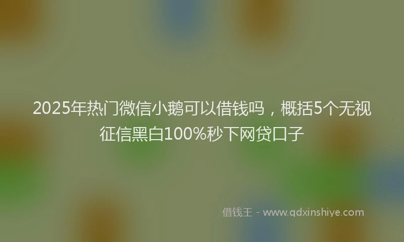 2025年热门微信小鹅可以借钱吗，概括5个无视征信黑白100%秒下网贷口子