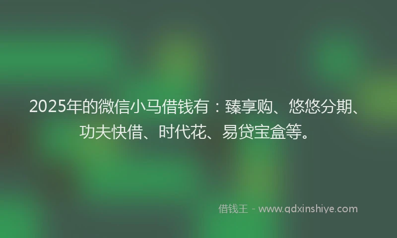 2025年的微信小马借钱有：臻享购、悠悠分期、功夫快借、时代花、易贷宝盒等。