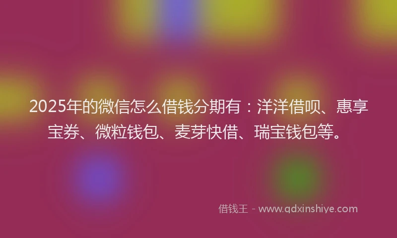 2025年的微信怎么借钱分期有：洋洋借呗、惠享宝券、微粒钱包、麦芽快借、瑞宝钱包等。
