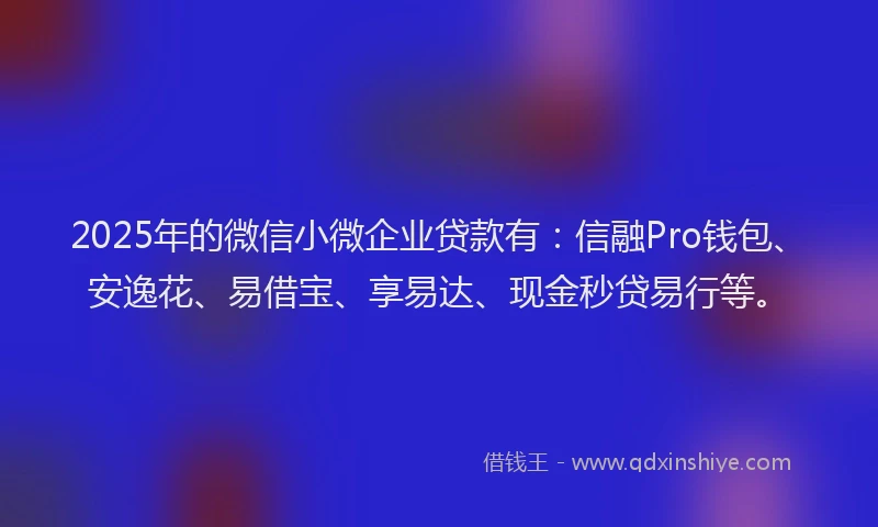 2025年的微信小微企业贷款有：信融Pro钱包、安逸花、易借宝、享易达、现金秒贷易行等。