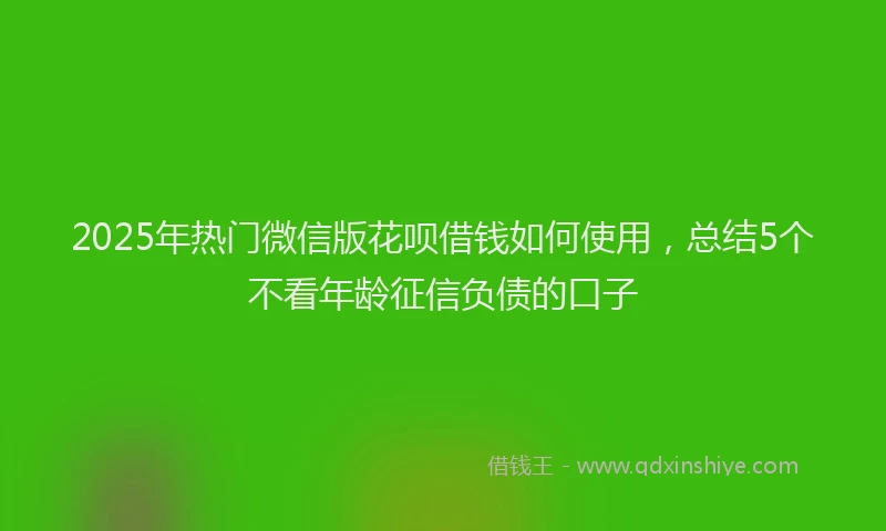 2025年热门微信版花呗借钱如何使用，总结5个不看年龄征信负债的口子