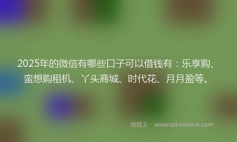 2025年的微信有哪些口子可以借钱有：乐享购、蛮想购租机、丫头商城、时代花、月月盈等。