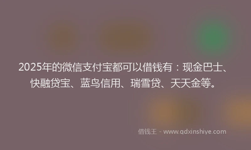 2025年的微信支付宝都可以借钱有：现金巴士、快融贷宝、蓝鸟信用、瑞雪贷、天天金等。