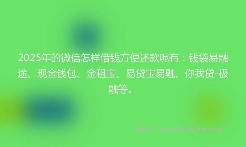 2025年的微信怎样借钱方便还款呢有：钱袋易融途、现金钱包、金租宝、易贷宝易融、你我贷-极融等。