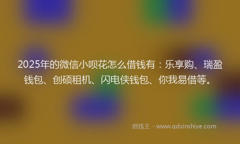 2025年的微信小呗花怎么借钱有：乐享购、瑞盈钱包、创硕租机、闪电侠钱包、你我易借等。