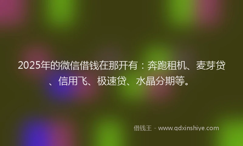 2025年的微信借钱在那开有：奔跑租机、麦芽贷、信用飞、极速贷、水晶分期等。