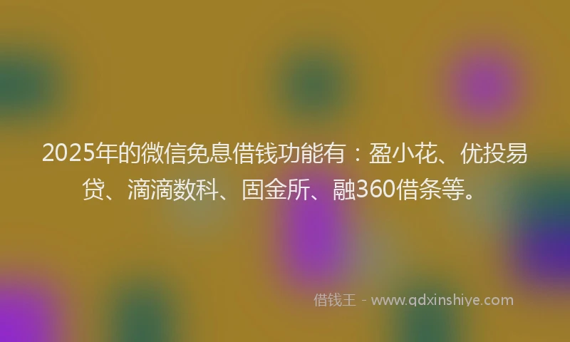 2025年的微信免息借钱功能有：盈小花、优投易贷、滴滴数科、固金所、融360借条等。