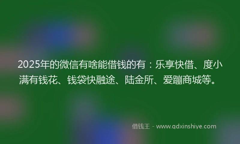 2025年的微信有啥能借钱的有：乐享快借、度小满有钱花、钱袋快融途、陆金所、爱蹦商城等。