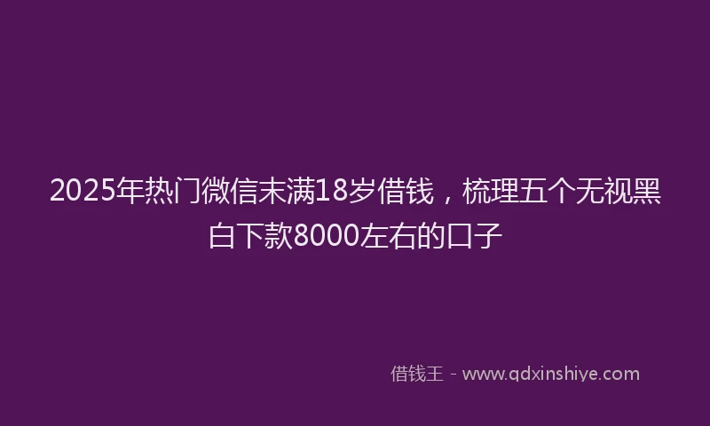 2025年热门微信末满18岁借钱，梳理五个无视黑白下款8000左右的口子