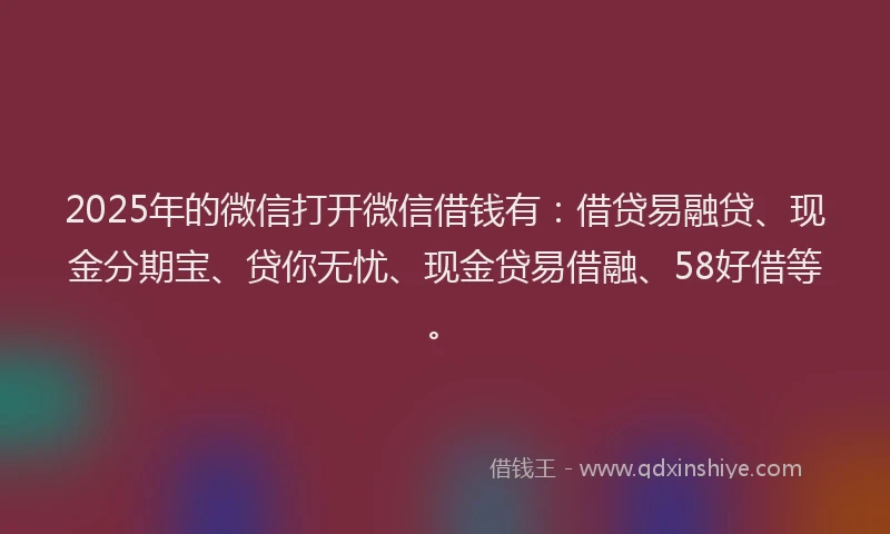 2025年的微信打开微信借钱有：借贷易融贷、现金分期宝、贷你无忧、现金贷易借融、58好借等。